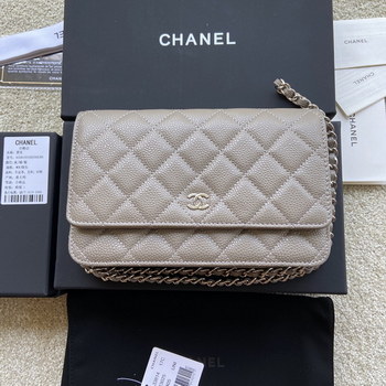 Replica Replica Chanel A33814 Women Classcics Wallet On Chain Gray with Sliver
