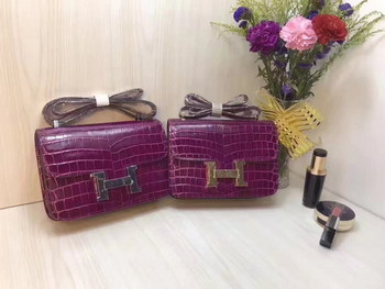 Replica Hermes 23cm Constance Shoulder Bag Crocodile Stripe Purple With Gold And Silver